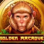 golden macaque